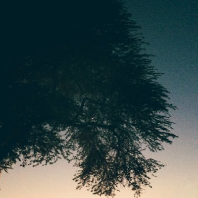 عبدالله مزيّن