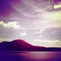 Dirk Theo Johan Ignoul