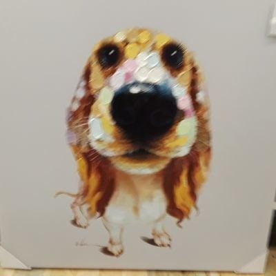 Bonnie #FBR #FBIR #FBPE