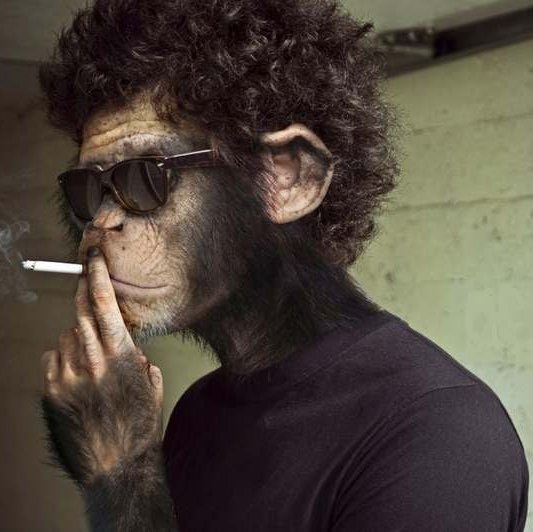 Андрей Болтунов