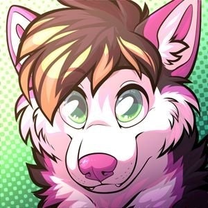 Jake Evans ✈️ San Francisco