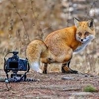 Dernier Commentaire Posté