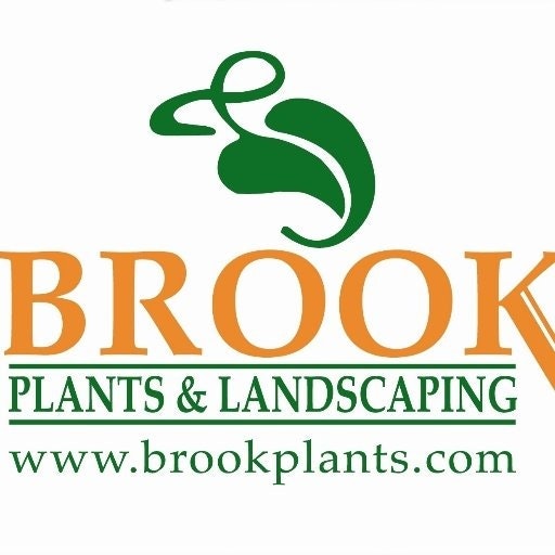 brookplants