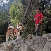 Andres Felipe Olarte Fuentes