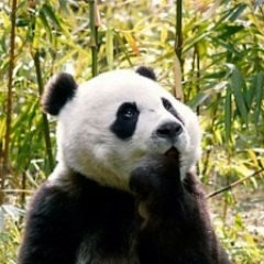 Юлия Манжос