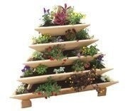 The Plant Pyramid