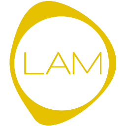 LAM Inc
