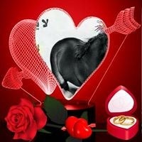 زيون ابو سجاد