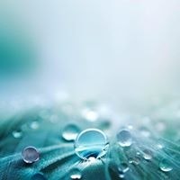 Sylvie Massardier - Alkem