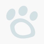 Cariboo_Distribution