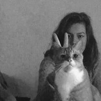 Harpa Halldorsdottir