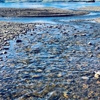 Signý Friðriksdóttir