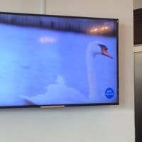 Svanhvit Juliusdottir