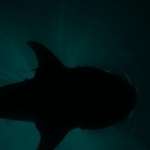 夏休みへの愛のかたまり