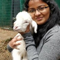 Niharika Vallambatla