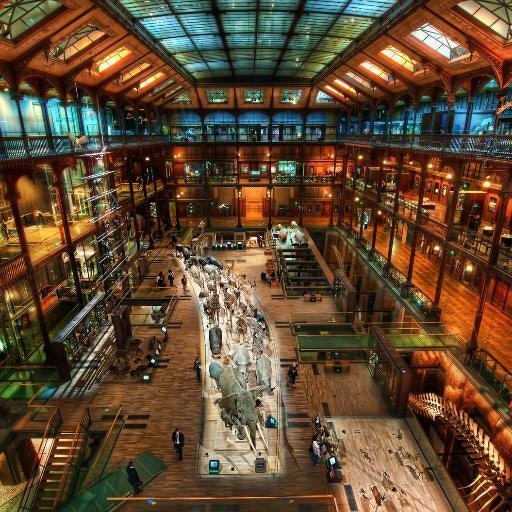 Ahmet İhsan Erdoğan