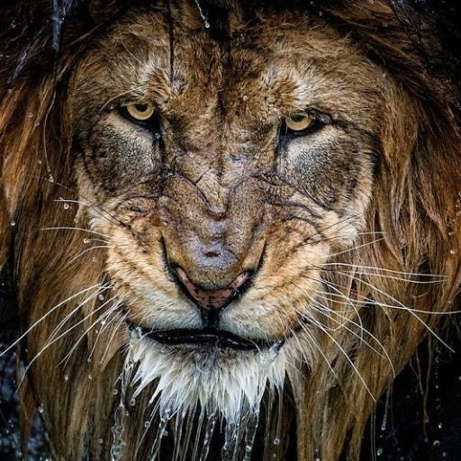 Panagiotis Mavroskol