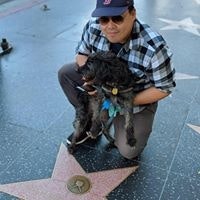 Roberto Majestic Chien