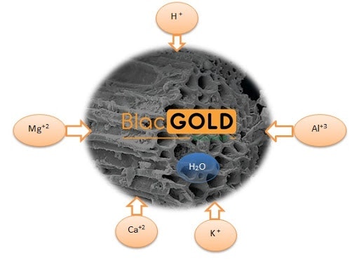 Agri Biochar
