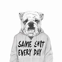 გიგა სულხანიშვილი