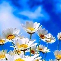 Ірина Дорожівська