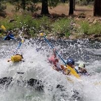 Deborah Couturier Leland