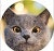 ProductHunt profile picture for @iv