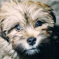 Kenneth John McPherson