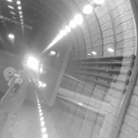 Артем Гринько