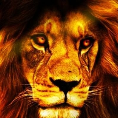 Naboth Kaseke    (son of God) 🇿🇼