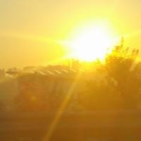 Karin Weinberg Sharon