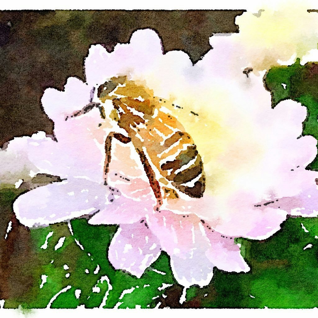 Bee🐝TheChange ⭐️⭐️⭐️