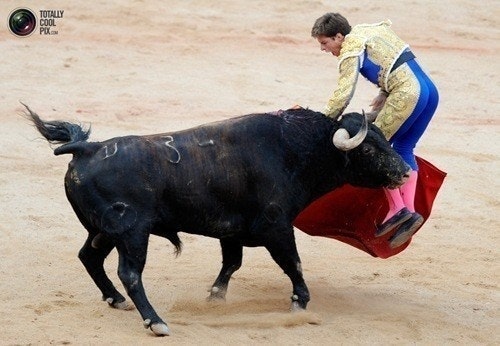Dangerous	Bulls