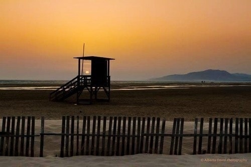 Montse Guardia Güell