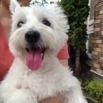 なつ( ●･ิ◞౪◟･ิ●)