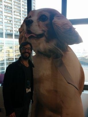 пере сола клавер