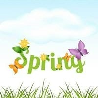 Terri Kersten Spring