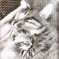 Trọng Huân Nguyễn