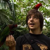 Антон Мальцев