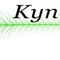 Kynetic E-juice