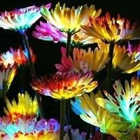 Trillina Emilia Palemi