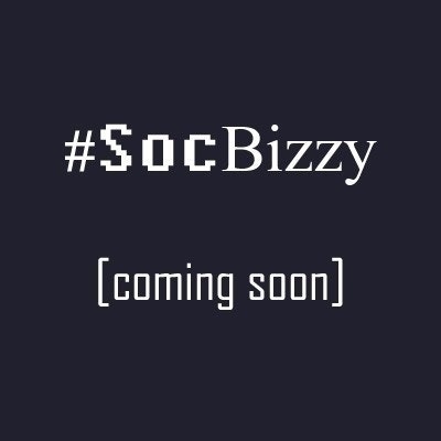 The SocBizzy Project