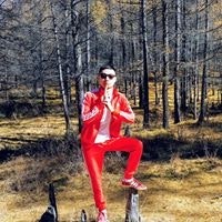 Н. Төвшинтөр