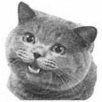 Alex Panaoijoiwjorij