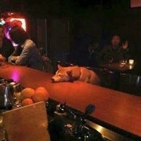 Мөнх-Эрдэнэ Туул