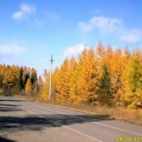 Надежда Шорина