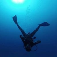 Mustafa Murat Yatgın