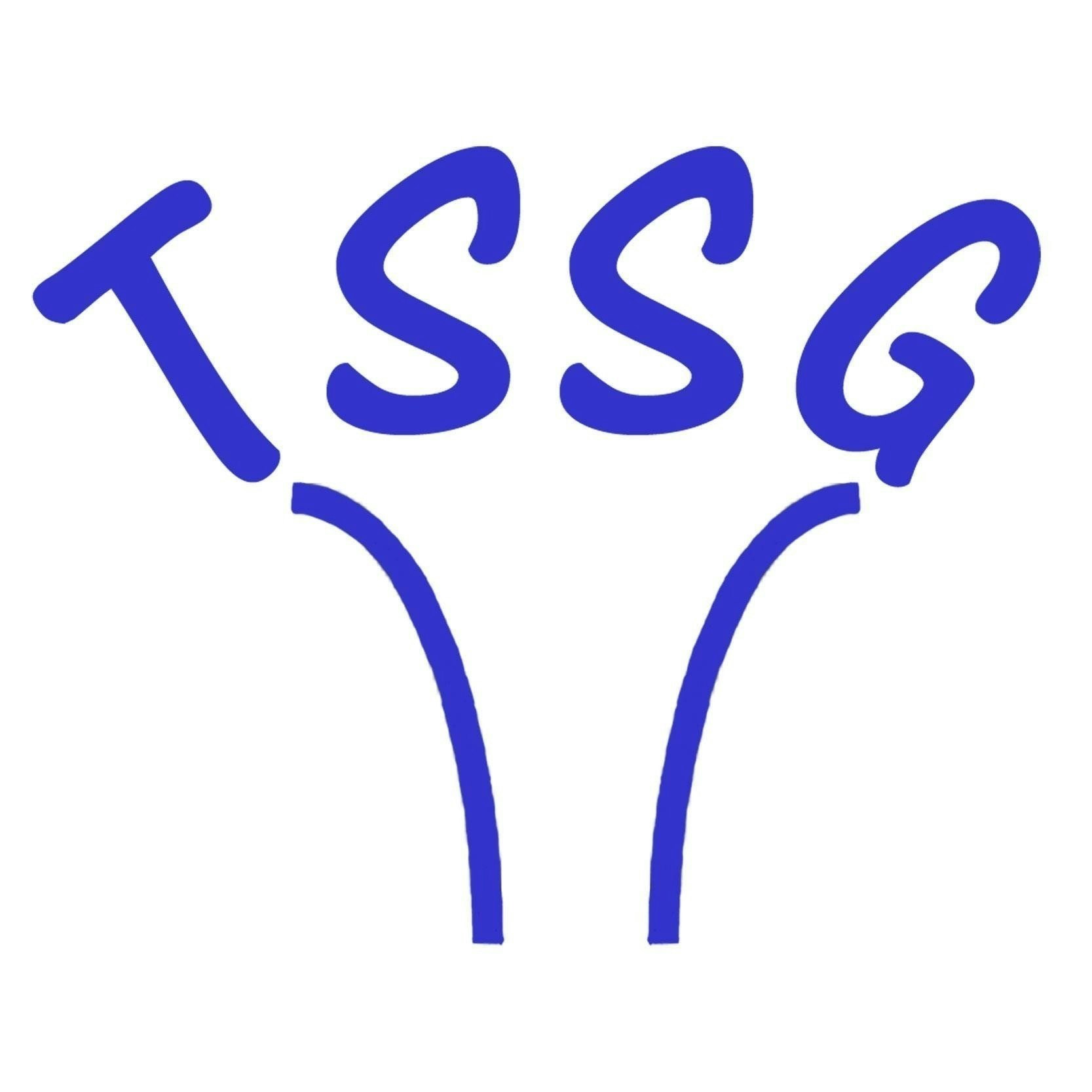 TheSoftSkillsGroup