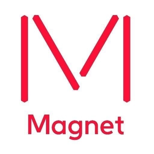 Magnet
