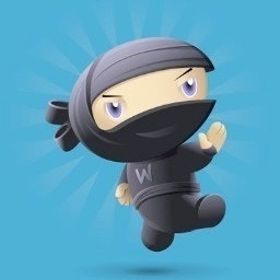WooThemes Ninjas